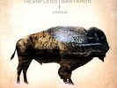 Arrow  (Lp) - Heartless Bastards (2012, Vinyl NEU)
