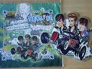 EX THE STRAY CATS SHE'S SEXY AND SEVENTEEN 17 SHAPED VINYL PICTURE PIC DISC 45