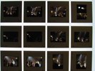 ROLLING STONES Detroit July 6 1978 Unpublished 35mm Slide Sheet No.8