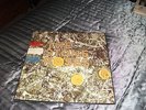 THE STONE ROSES LP
