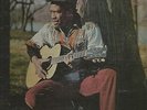 HORACE ANDY - IN THE LIGHT                   HUNGRY TOWN                LP VG+