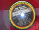 Bob Marley & The Wailers  ?– Survival  // LP  /  VG++