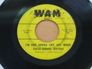 JOHNNY HOLIDAY I'm Not Gonna Cry Anymore 45 RARE Ohio Garage Punk HEAR