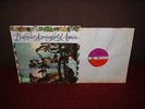 BUFFALO SPRINGFIELD Again LP 1968 MONO 1st Press FULLY LAMINATED