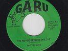 THE VOLUMES I've Never Been So In Love 45 on Garu TX soul/funk grail HEAR