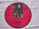 Joy Division - A Christmas of Joy  Picture LP Selten New Wave post Punk