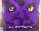 I Only Have Eyes For Shu BCP 1013 10