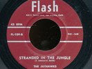 45bs-R&B vocal group-Flash 109-The Jayhawks