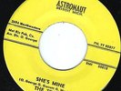 THE TEARS - She's Mine  - ASTRONAUT -  Detroit Soul   7