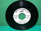 BUDDY LAMP promised land / I'm coming home PROMO 45 northern ABC