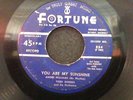 ANDRE WILLIAMS Mean Jean/You Are My Sunshine  45rpm VG+ Fortune Records