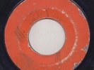 '70 WILSON BROTHERS REGGAE 45 MICHAEL WILSON+HIPPY BOYS DYNAMITE (BIGGER BOSS)?