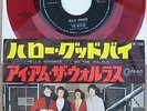 The Beatles  - Hello Goodbye -  RED VINYL Japanese Picture Sleeve PS 7