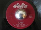 LITTLE WILLE JOHN rare I’m Shakin’ mod r&b soul Canadian Delta NM 45 LISTEN