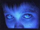 Porcupine Tree - Fear Of A Blank Planet - Tonefloat - 2LP - 180 Gram - NM