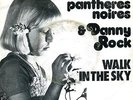 Les Pantheres Noires 45 Walk in the Sky - Rare Belgian Psych Groove Moog - HEAR