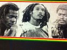 Orig 1978 Reggae Lp