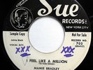 MAMIE BRADLEY 45 I Feel Like A Million / Patty Cake R&B Soul PROMO Sue w4158