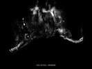 FULL OF HELL - MERZBOW - SPLIT NEW VINYL