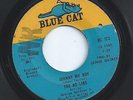 THE AD LIBS northern soul JOHNNY MY BOY blue cat 45 HEAR