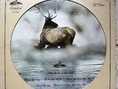 CARIBOU SAMPLER - LP Picture Disc  Caribou Records ?– CAB PU