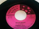 NORTHERN SOUL PADDED CELL - MR MISERY..TODDLIN TOWN  HEAR stafford dancer