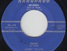Blues R&B Inst. 45 - Albert Collins & Rhythm Rockers - Freeze - Kangaroo - mp3