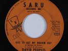 Crossover Soul 45 DAVID PEOPLES Got To Get My Broom Out SARU HEAR