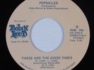 Modern Soul Boogie 45 POPSICLES These Are The Good Times ROBIN HOOD VG+ HEAR