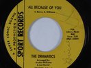 Northern Soul 45 DRAMATICS All Because Of You SPORT HEAR