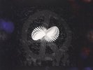 MARILLION-A SUNDAY NIGHT ABOVE THE RAIN-VINYL LP (3) EDEL RECOR NEU