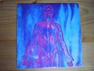 Nirvana Vinyl LP's, 12