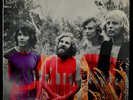 TAMAM SHUD - EVOLUTION - RARE AUS PROG ROCK LP MINT CONDITION CBS SBP233761