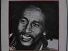 Bob Marley & The Wailers Jamaican Storm Japan LP 1983 Tokuma 25JAL-1 Insert