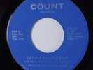 Sweet Soul/Modern Soul 45 PERCY & IMAGE BAND Catch A Falling Star VG+/VG++ HEAR