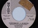 Northern Soul Motown 45 SATINTONES Tomorrow & Always MOTOWN HEAR