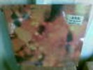 STEAMHAMMER Reflection Akarma Reissue Vinyl LP SEALED Free Ship