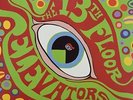LP THE 13TH FLOOR ELEVATORS PSYCHEDELIC SOUNDS OF VINYL MONO SUNDAZED