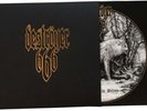 DESTROYER 666 - Unchain the Wolves  LP  VAN  CLEAR