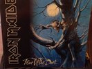 LP Iron Maiden Fear Of The Dark Vinyl