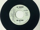 The Kittens 1961 GIRL DOO WOP 45 I'm Worried / Count Every Star on Chestnut HEAR