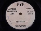 PUPPETS = Poison Ivy = NEAR MINT = PYE 15556 = Beat Dancer / Popcorn Teen 1963 U