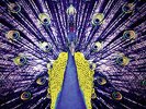 Blond:ish - Welcome to the Present