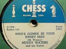 MUDDY WATERS 