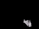 Bob Moses - Days Gone By [Vinyl New]
