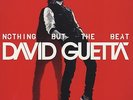 David Guetta - Nothing But the Beat