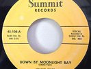 Jimmie Piper 1959 Down By Moonlight Bay 45 Summit 108 Rare Rockabilly EX