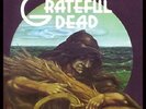The Grateful Dead / Wake Of The Flood - Vinyl LP 180g audiophil Mobile Fidelity