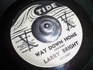 MOD R&B ROCKER 45 - WAY DOWN HOME - LARRY BRIGHT