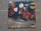 MAXWELL_Sumthin Sumthin The MAntra_used VINYL 12